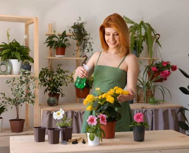 tips  to  watering  plants