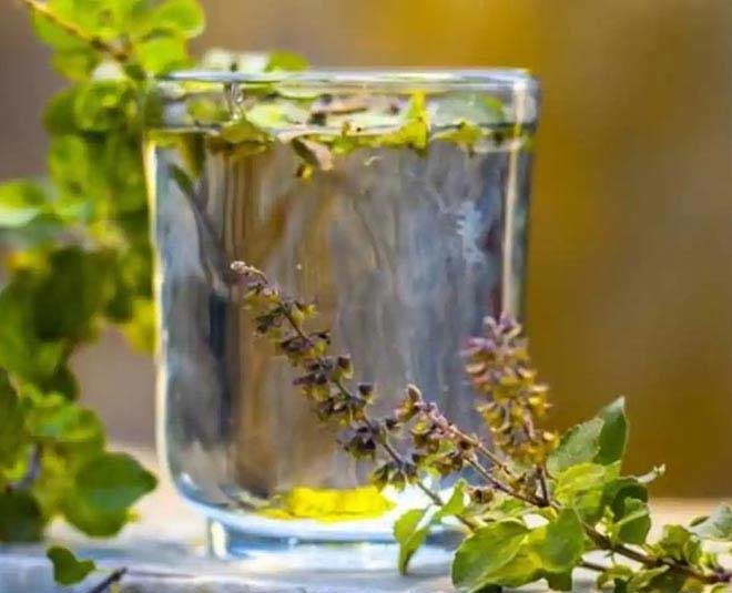 tulsi  water  making