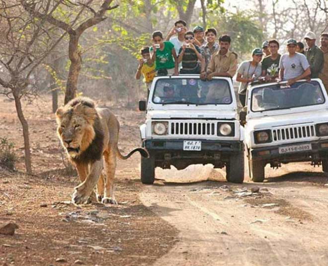 गिर नेशनल पार्क famous and historical places of gujarat gir park inside