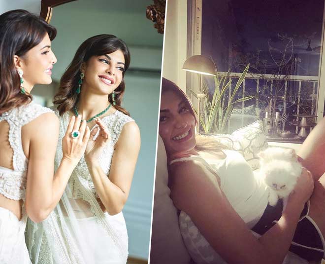 actress jacqueline fernandez