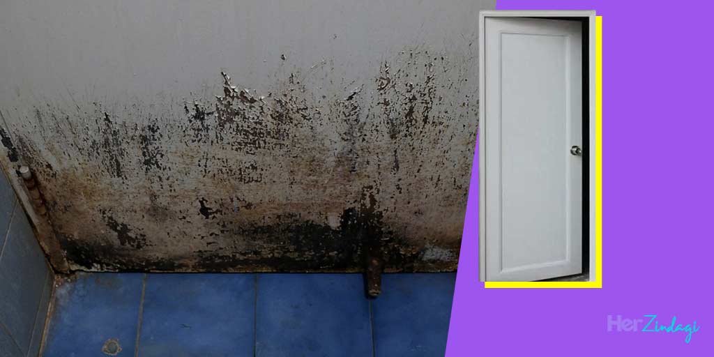 How to Remove Mold From Bathroom Doorबाथरूम के दरवाजे पर जमा फफूंदी के जिद्दी दाग से छुटकारा