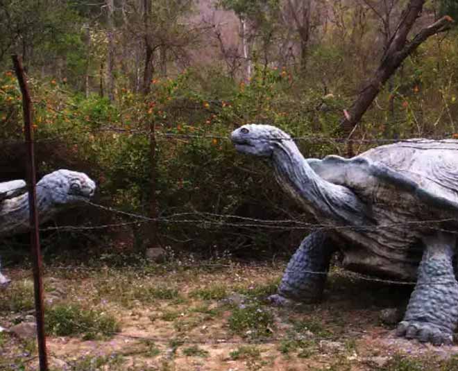 best places to visit barog himachal pradesh inside