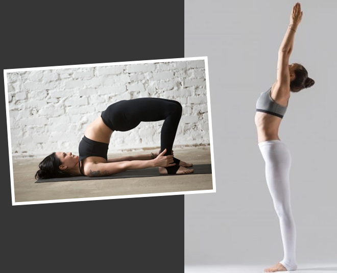 Yoga Poses for Beginners: Top Yoga Stretches You Must Know – DIYogi.com-nttc.com.vn
