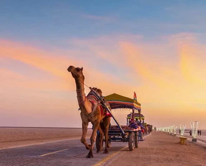 रन ऑफ कच्छ famous and historical places of gujarat ran of kachh inside
