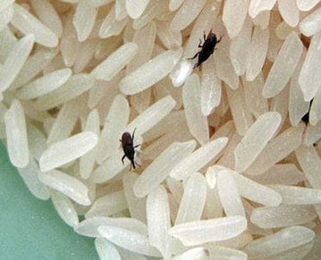 how to clean rice correctly
