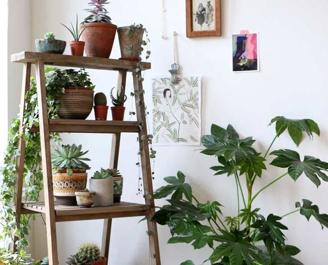 know about some plant stand ideas  inside 