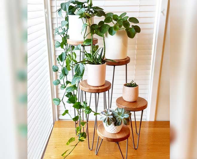 know about some plant stand ideas  inside 