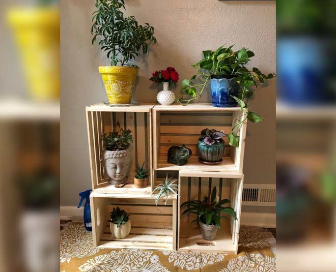 know about some plant stand ideas  inside 