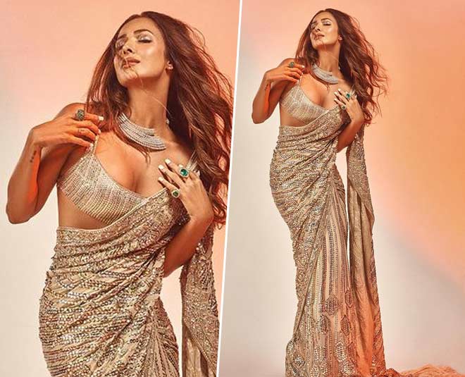मलाइका अरोड़ा का हैवी साड़ी लुक malaika arora party saree