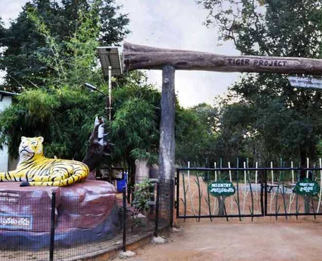 places to visit in srisailam tiger reserve inside 