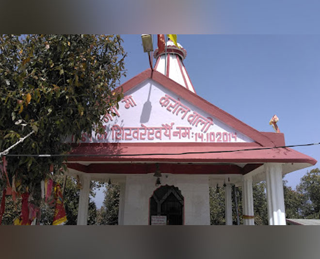 places to visit waknaghat himachal inside 