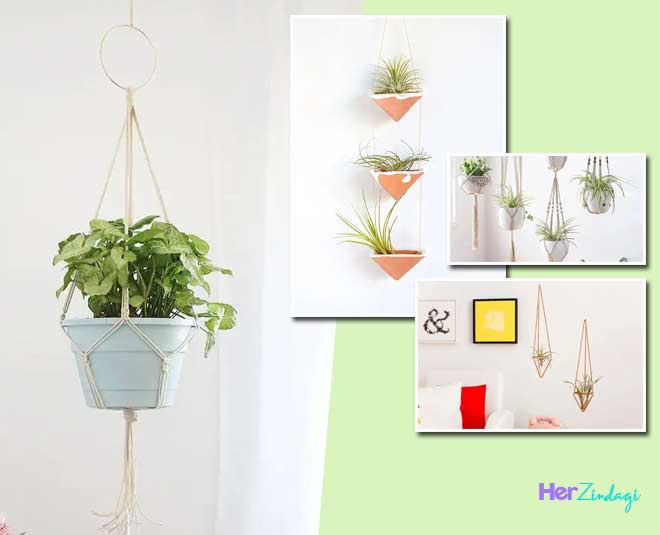 plant hanger ideas