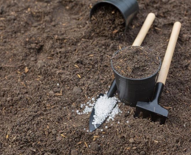 prepare to soil for tomato plants