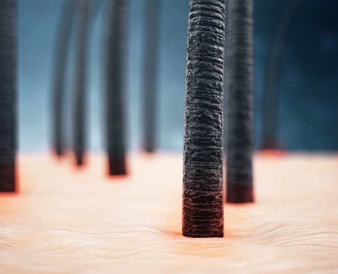 soybean oi for smooth cuticles