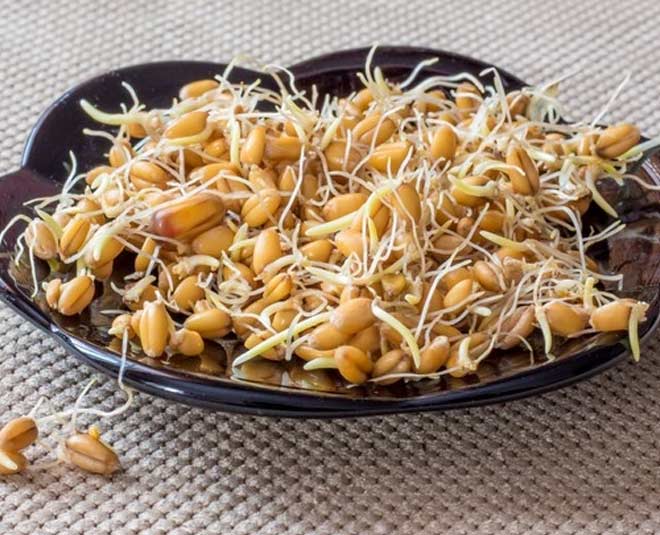 sprouted wheat health benefits