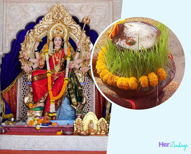 How To Grow Jawara At Home In Navratri | how to grow jawara at home in ...