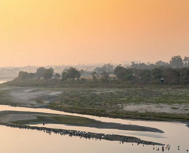 yamuna river pollution