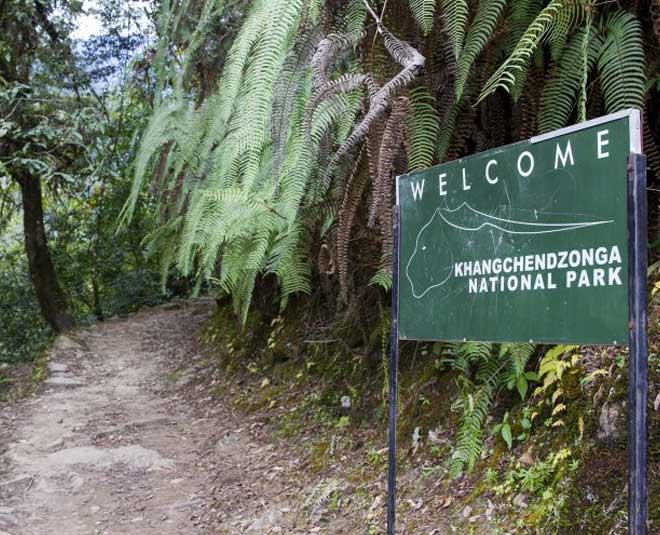 all about kanchenjunga national park inside 