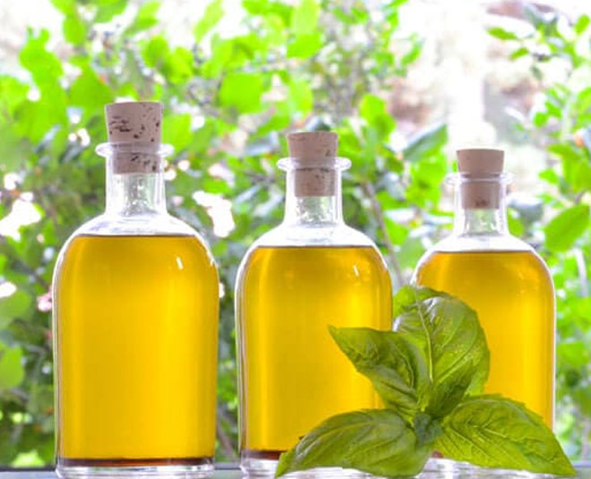 Amazing Uses of Basil Oil In Hindi amazing uses of basil oil