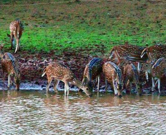 best places to visit didihat uttarakhand inside 