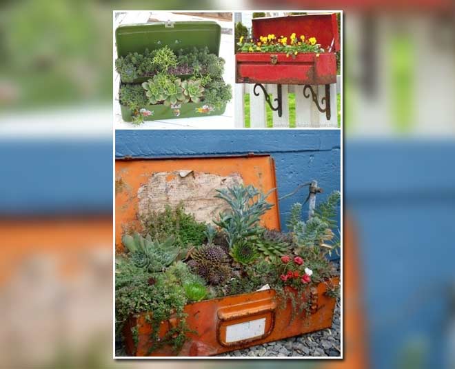 box use of planter