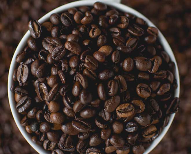 coffee lizards around lights