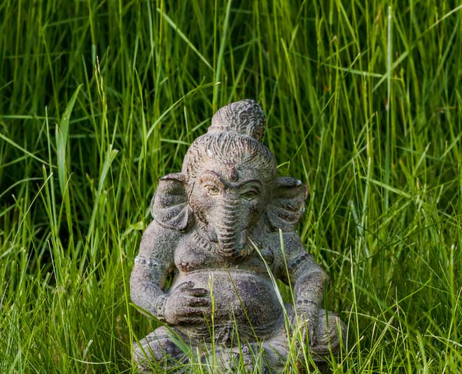 durva  grass  benefits  hindi