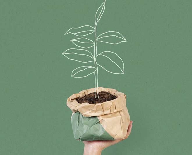 grow bags ()