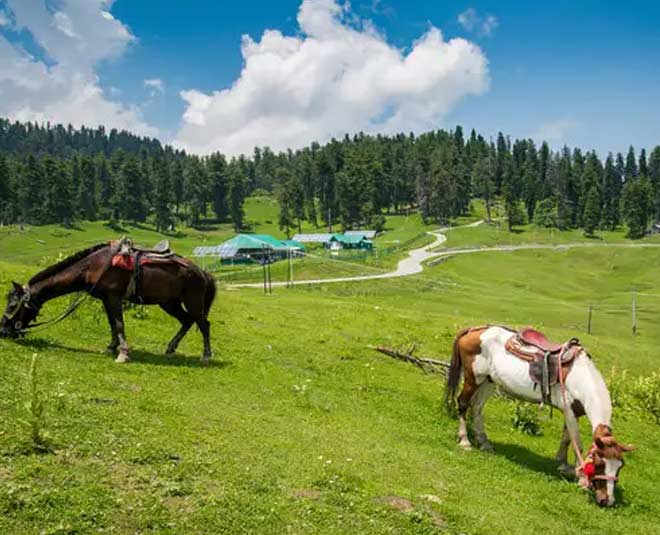 gulmarg srinagar look like switxerland