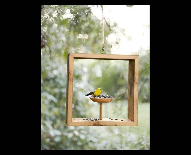 Easy Tips To Clean Birdfeeder In Hindi easy tips to clean birdfeeder