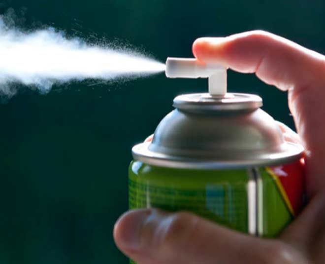 how to get rid of bats at home inside 