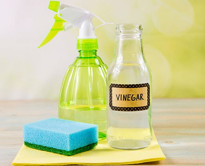 how to get rid of black flies inside 