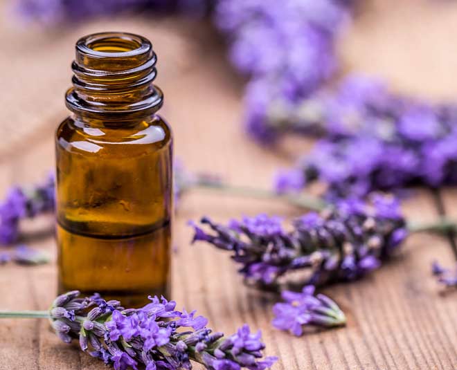 how to get rid of wasps in your house and garden inside 