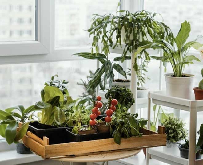 indoor plans in hindi