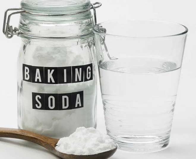 know how to get rid of wasps in your house and garden inside 