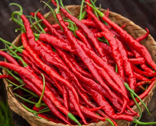 manipur special hathei chilli get gi tag