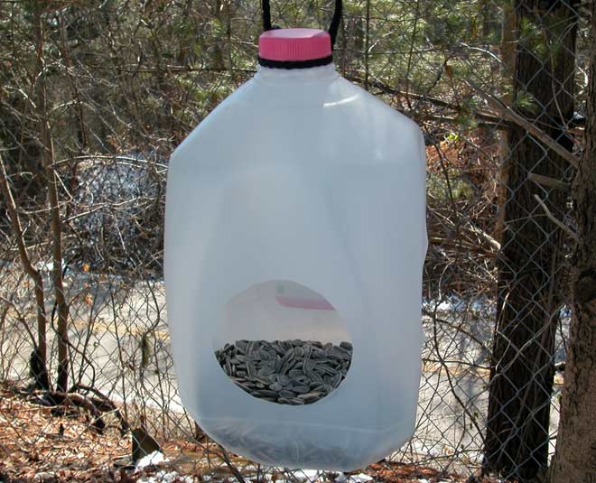 milk jug uses in garden bird feeder