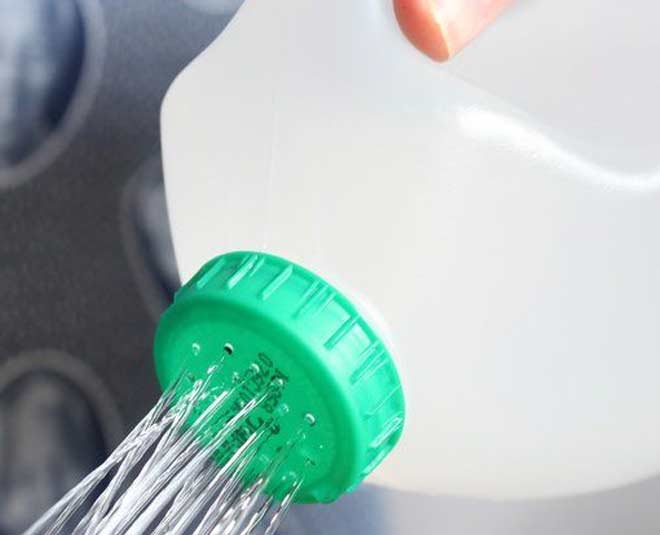 milk jug uses in garden watering can