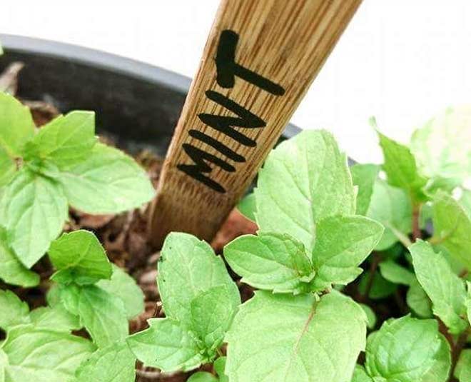 recycling ideas bamboo