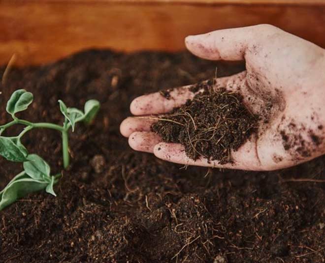 How to Make Healthy Garden Soil in Hindi how to make healthy garden