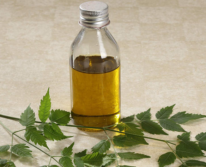 tips to get rid of black flies inside 