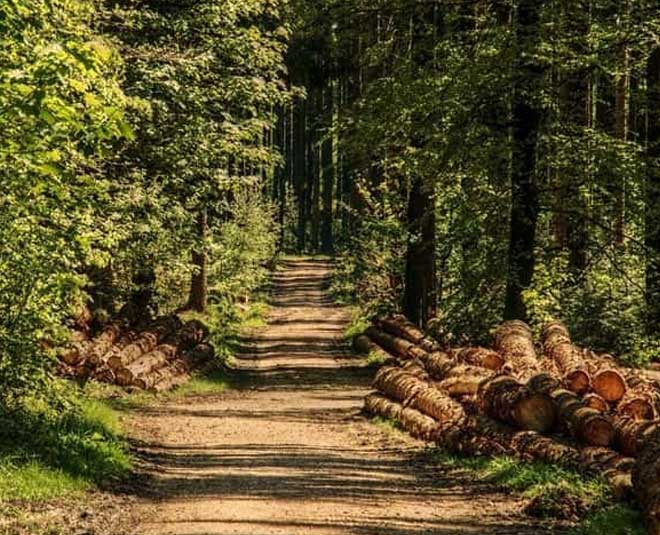 unknown tourist places in west bengal inside 