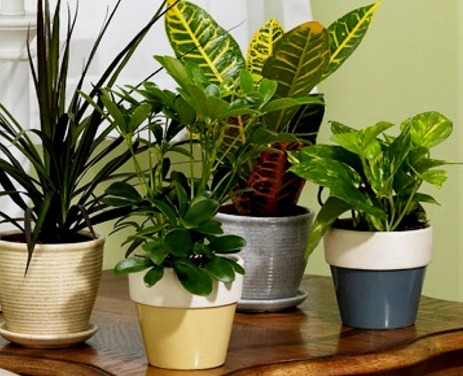 ways to remove smoke smell from pooja room