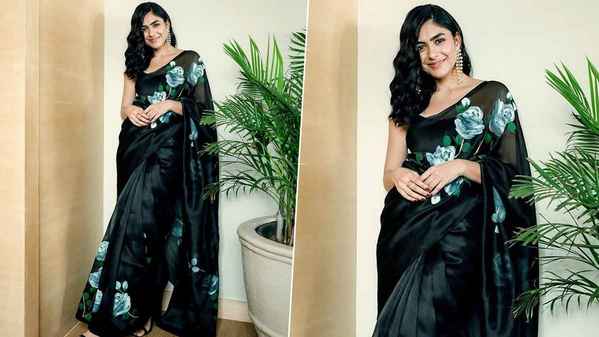 Add Organza Saree In Your Wardrobe ()