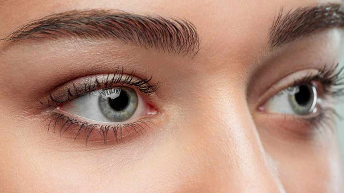 Mulberry Benefits for eyes