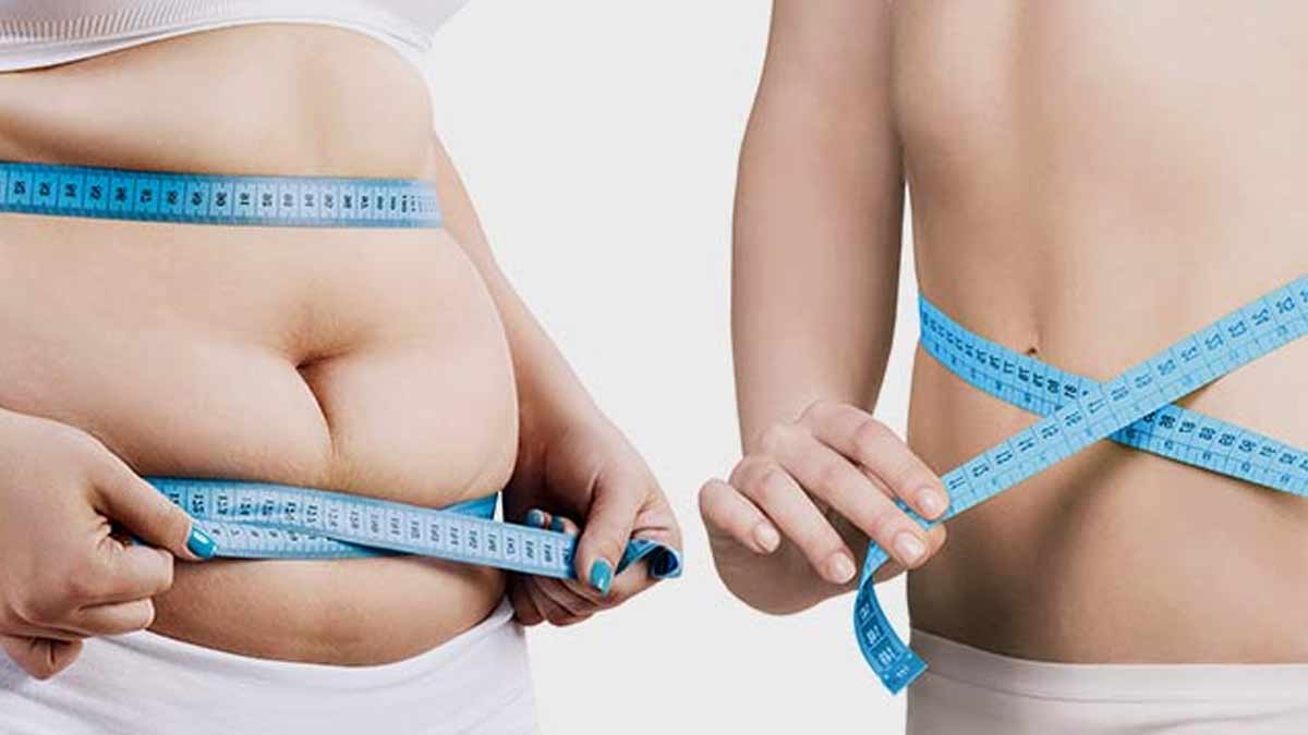 Mulberry Benefits for weight loss