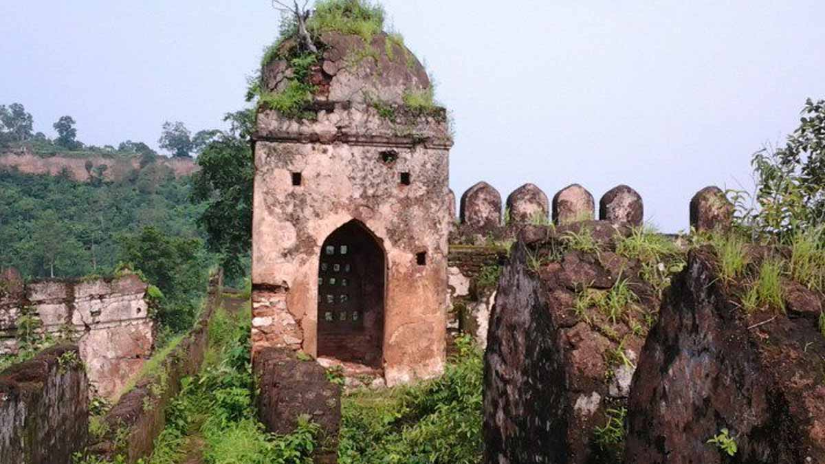 Palamu fort history