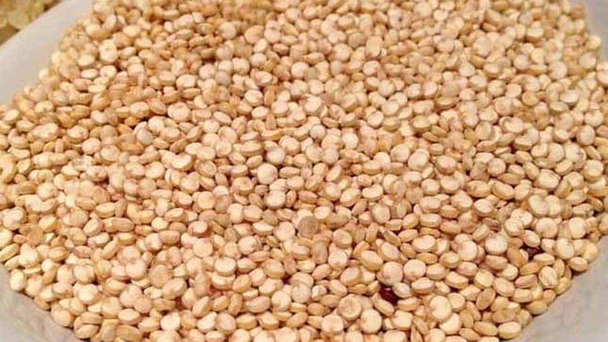 Quinoa superfood for fertility