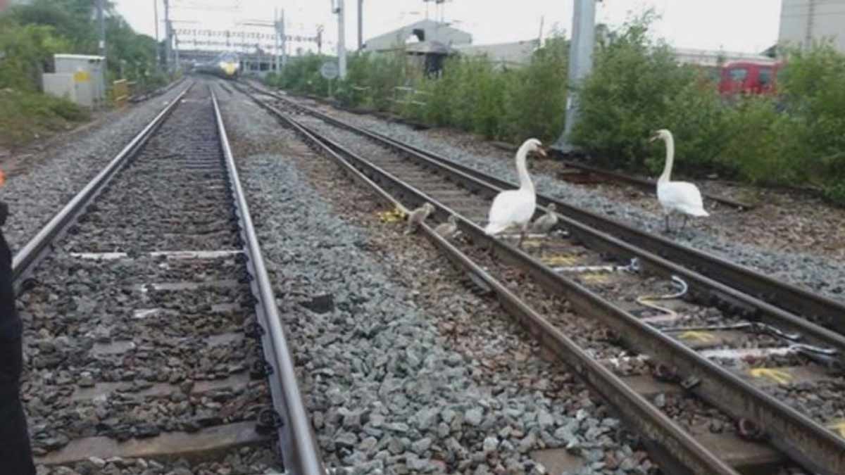 about railway track inside 
