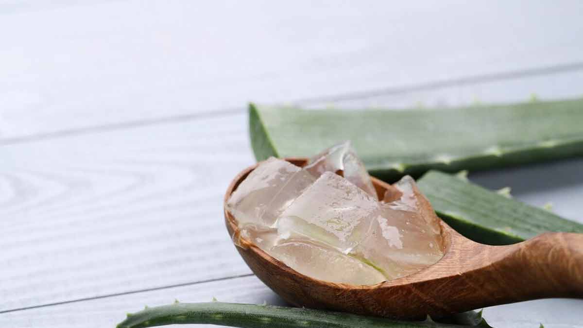 Aloe Vera Gel Hacks त्‍वचा के लिए एलोवेरा जेल Aloe Vera Gel Lagane Ke